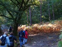 2016-10-09 Les gorges d Apremont 0049